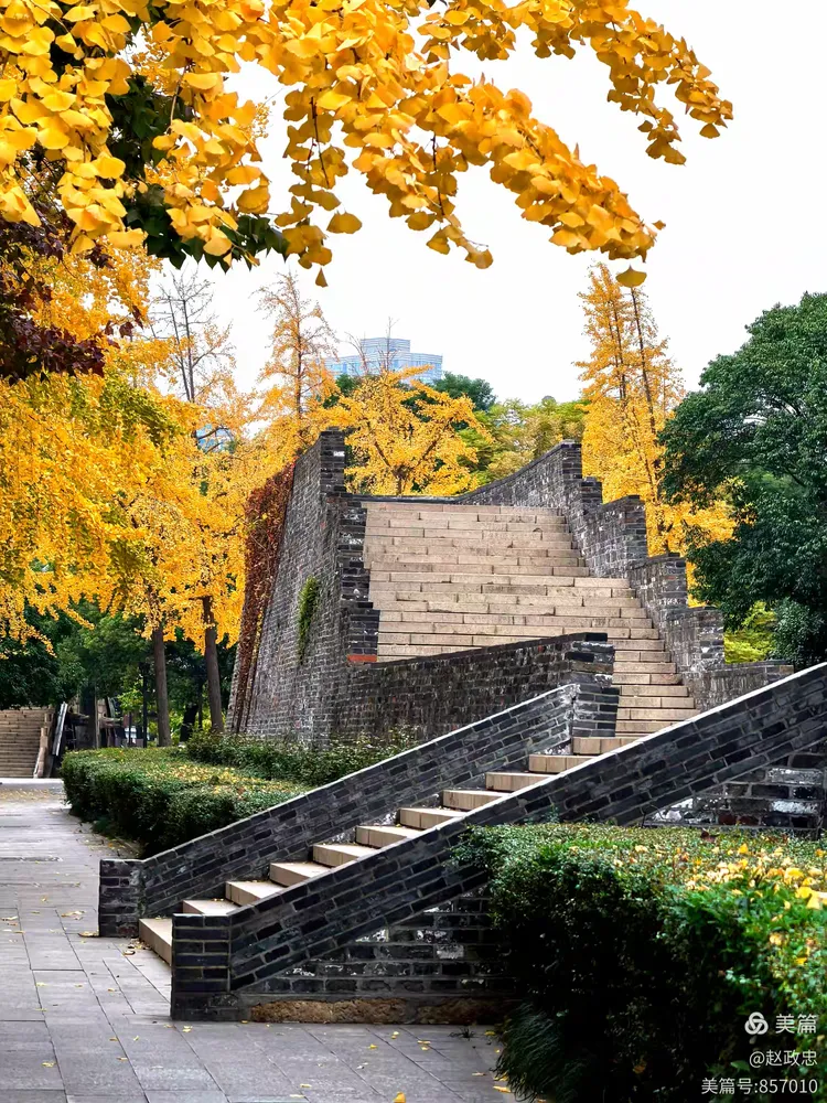 常州西瀛里明城墙:深秋浅冬的色彩盛宴